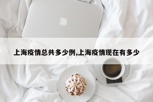 上海疫情总共多少例,上海疫情现在有多少