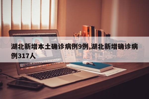 湖北新增本土确诊病例9例,湖北新增确诊病例317人