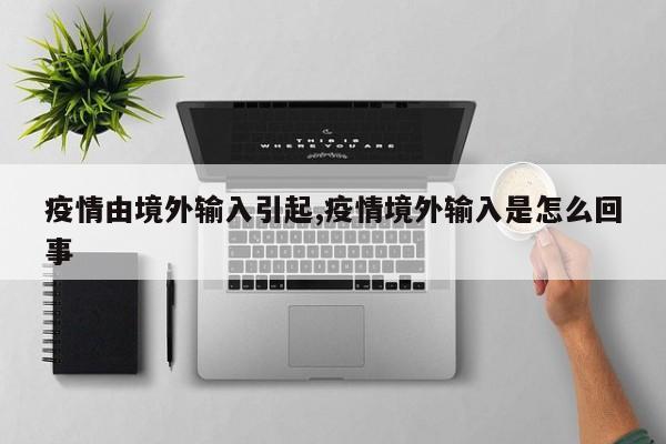 疫情由境外输入引起,疫情境外输入是怎么回事