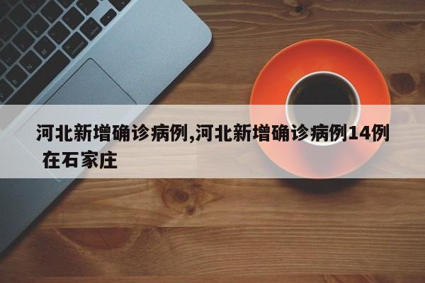 河北新增确诊病例,河北新增确诊病例14例 在石家庄